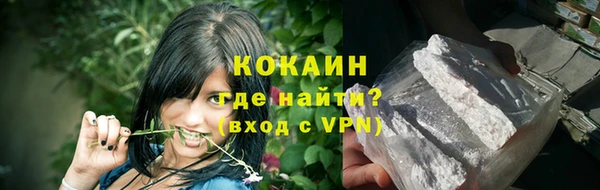 сатива Лабытнанги