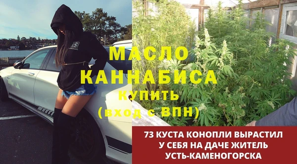сатива Лабытнанги
