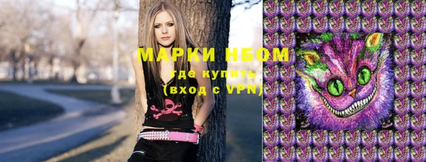 сатива Лабытнанги