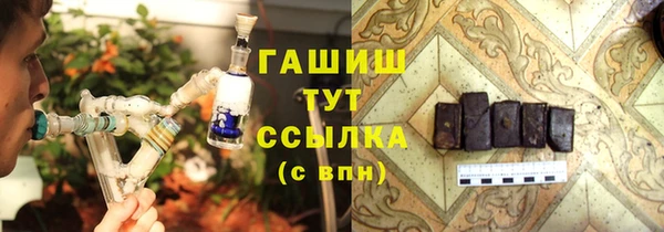 сатива Лабытнанги