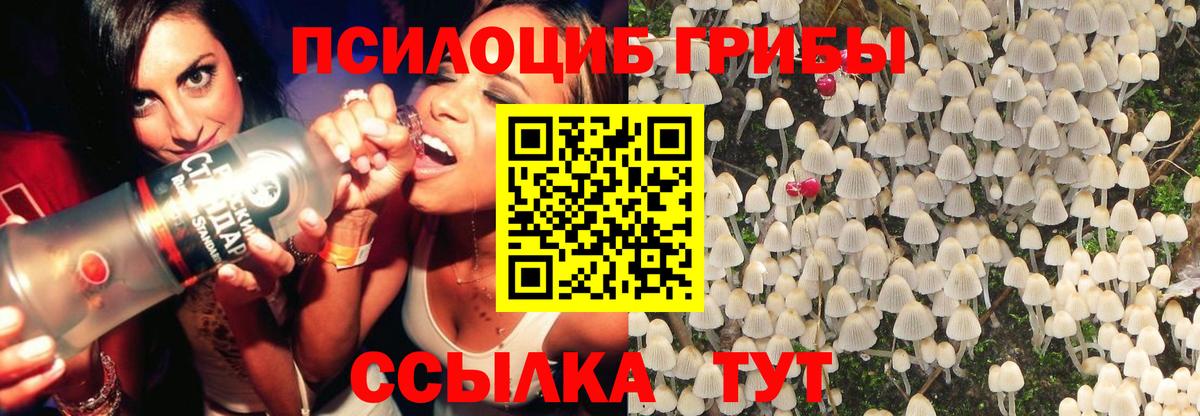 Галлюциногенные грибы Psilocybe  Галлюциногенные грибы Cubensis  Темрюк 