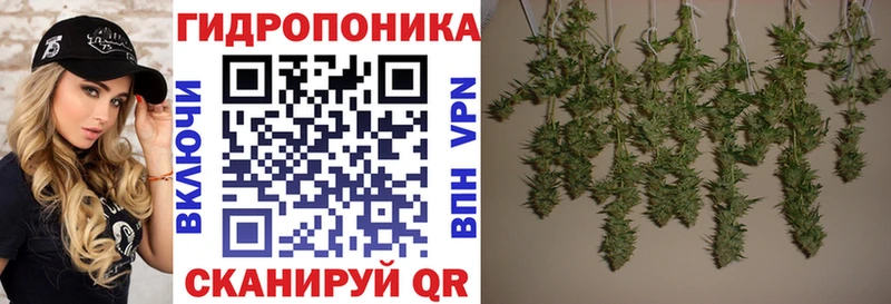Конопля семена  Темрюк 